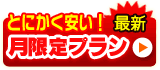 �Ƃɂ��������I������v����in�������s