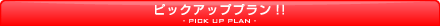 �s�b�N�A�b�v�v����