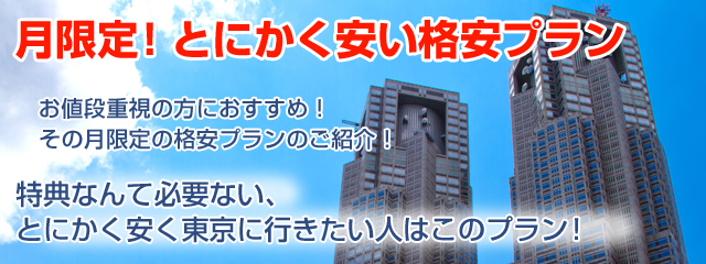 月限定価格プラン