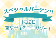 スペシャルバーゲンTDR®