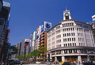 東京フリープラン