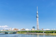 東京フリープラン